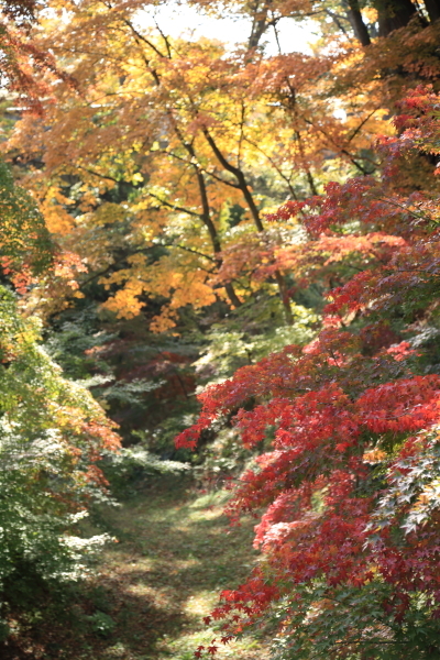 f0229832_09551328.jpg
