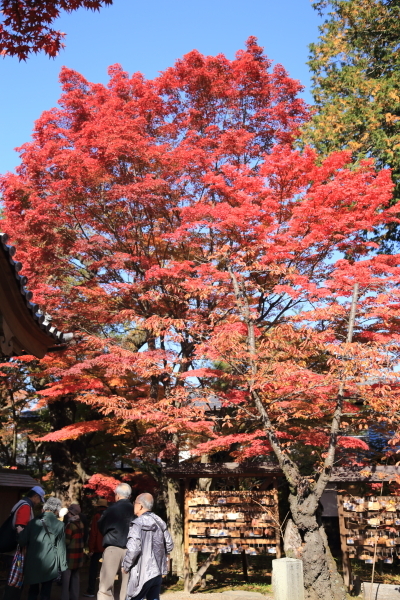 f0229832_09562849.jpg