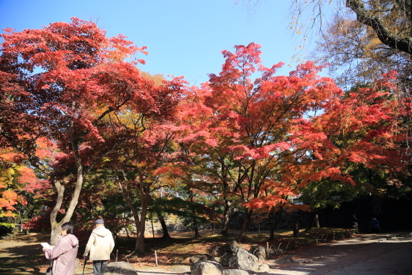 f0229832_10014055.jpg