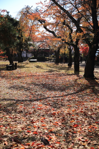f0229832_10044032.jpg