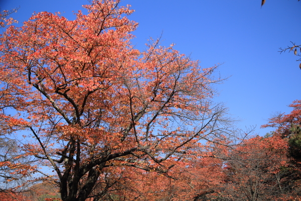 f0229832_10051114.jpg