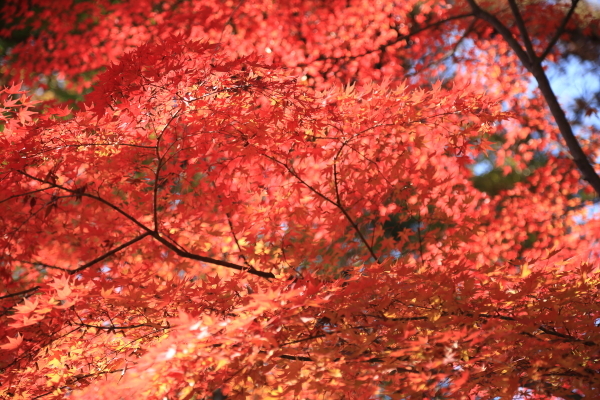 f0229832_10064162.jpg