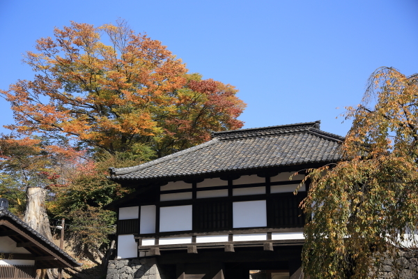 f0229832_10074243.jpg
