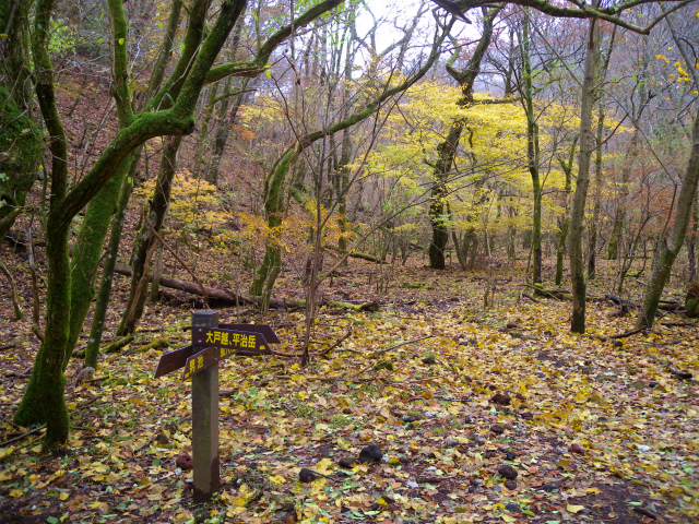 e0272335_19153820.jpg