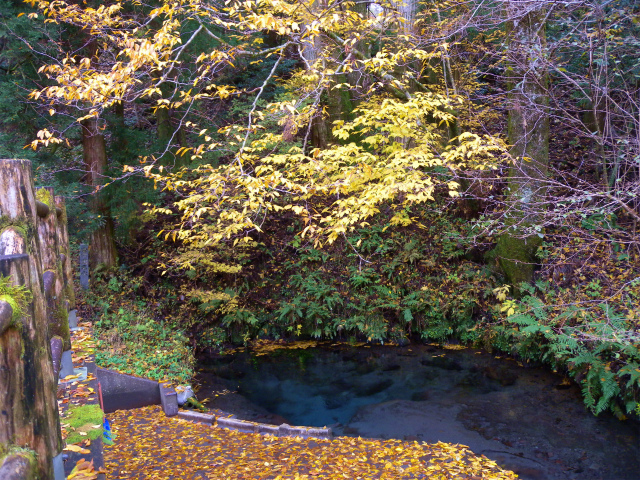 e0272335_19324327.jpg