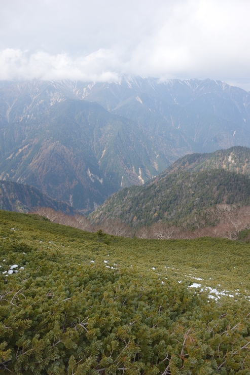 a0287336_2236267.jpg