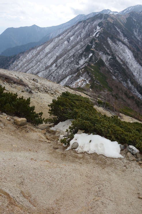 a0287336_22495276.jpg