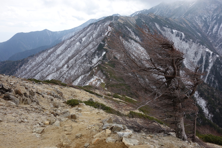 a0287336_225096.jpg