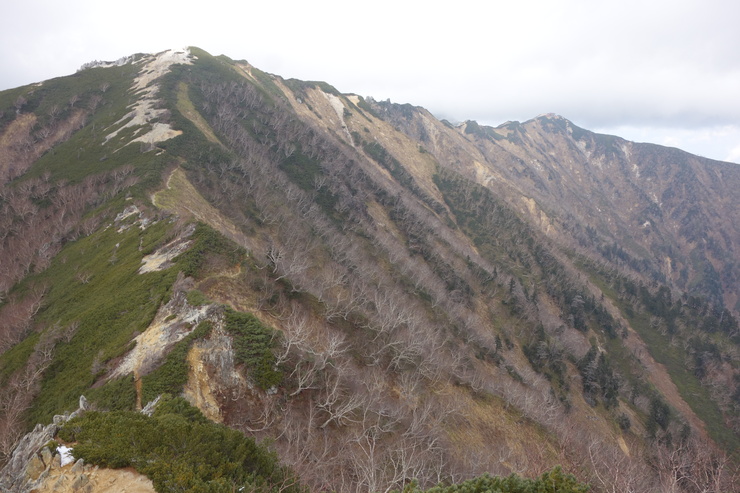a0287336_233798.jpg