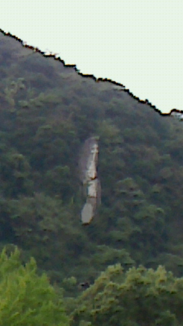 c0108336_12441364.jpg