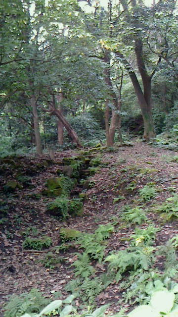 鹿児島エリアの世界遺産(構成資産)_c0108336_12441443.jpg