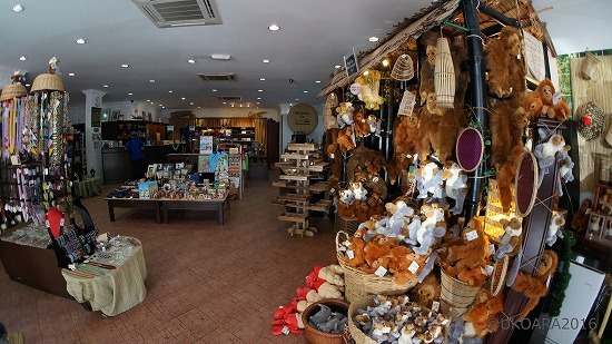 モスク巡り お土産選びin カダイク コタキナバル観光 Buen Viaje ブエン ビアーへ 旅と猫