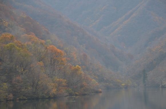 c0202242_10252981.jpg