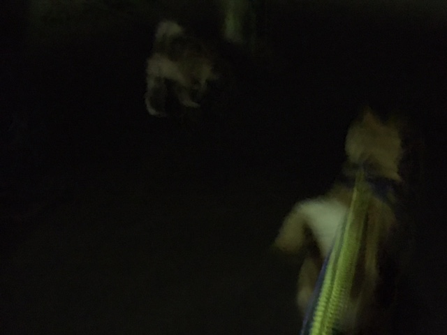 c0266644_017246.jpg