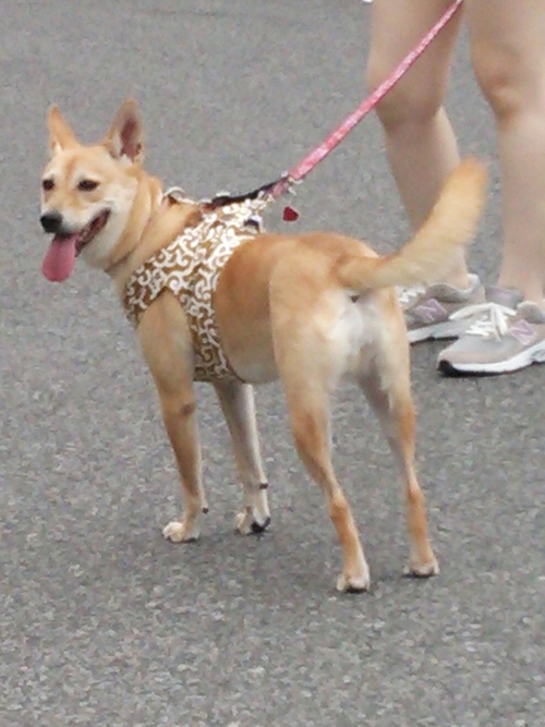 c0266644_024967.jpg