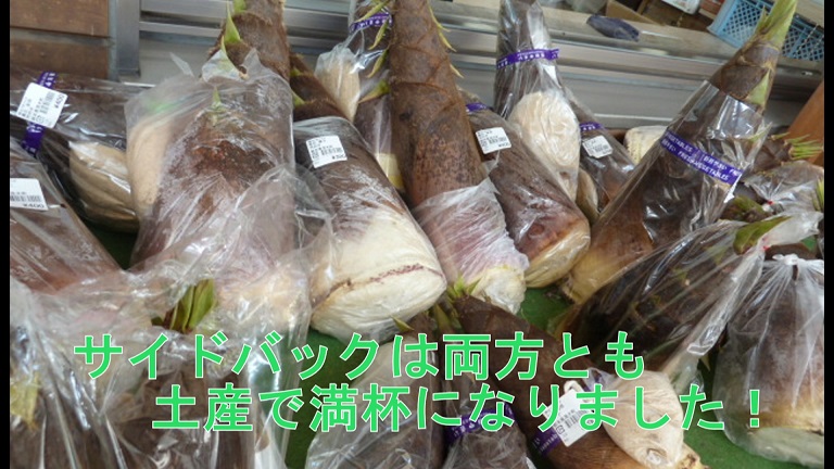 b0003445_12475138.jpg
