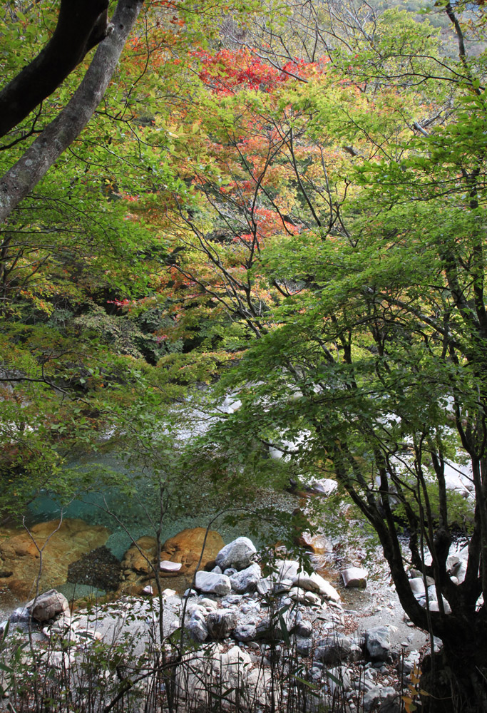 天川村　川迫川（こうせがわ）渓谷　紅葉　２_c0108146_20154437.jpg