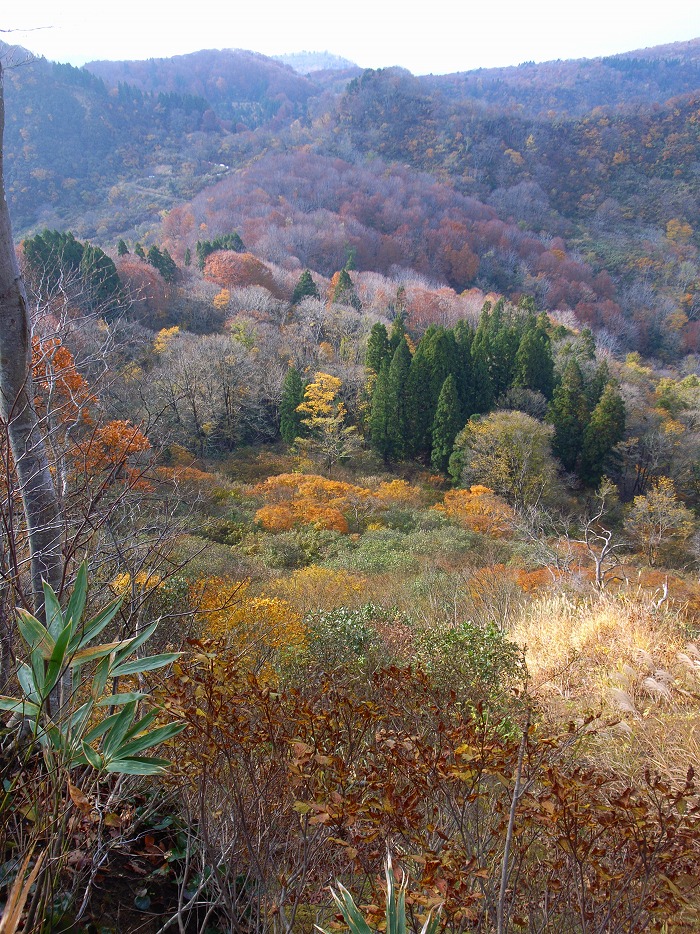 山LOG 2016　その20／長岡東山トレイル／大入峠～五百山_e0031346_19102980.jpg