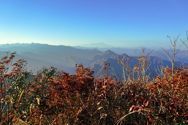 b0122448_19553882.jpg