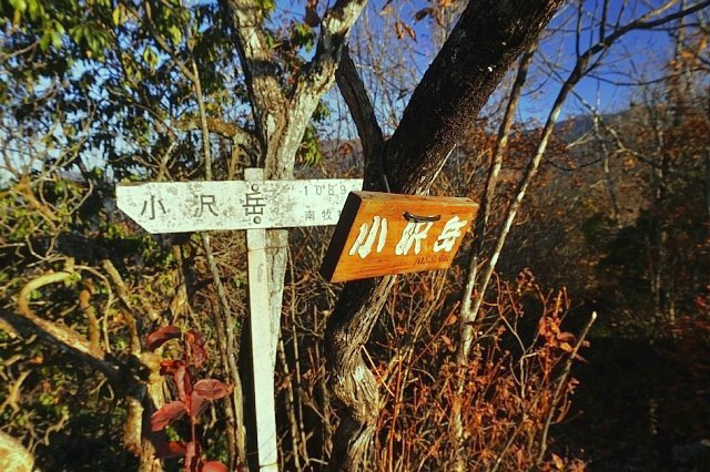 b0122448_19565404.jpg