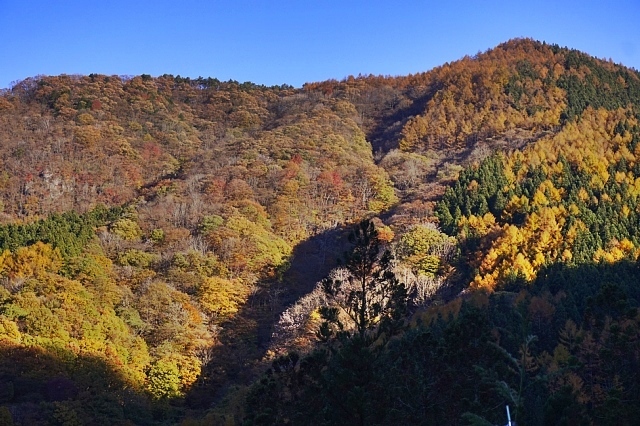 b0122448_20234038.jpg