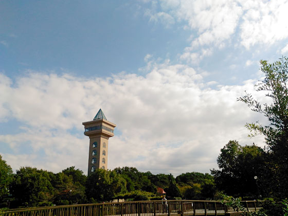 c0335348_17162012.jpg