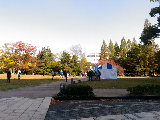 c0335348_17374556.jpg