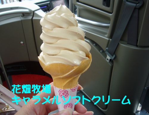 d0204154_18364195.jpg