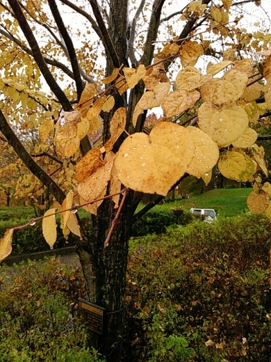a0018655_15425716.jpg