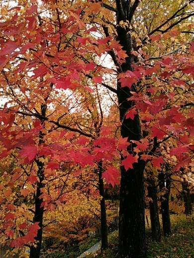 a0018655_15430259.jpg