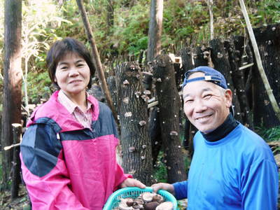 平成28年度の清流の里の『原木しいたけ』初出荷&収穫の様子!『乾燥しいたけ』の販売もスタートしました!_a0254656_185917.jpg