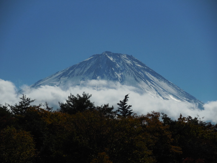 b0070657_15244266.jpg