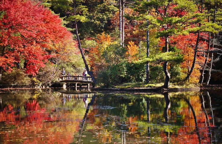 神戸市立森林植物園 長谷池の紅葉 ２ たんぶーらんの戯言