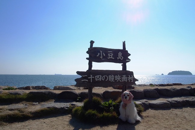 d0111558_20562661.jpg