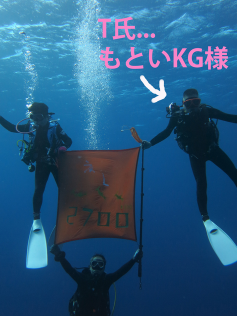 11月15日 バラ&マグ&トラな日。_d0113459_2025081.jpg