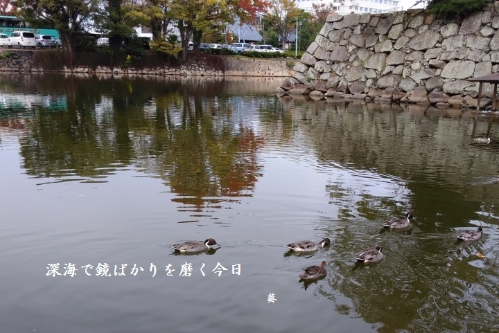 f0379160_11083886.jpg