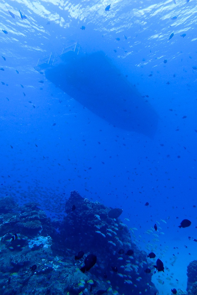b0062363_18461745.jpg