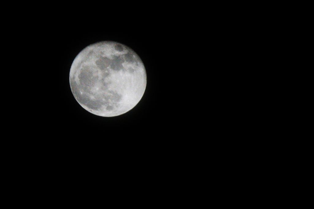 e0220163_20543018.jpg