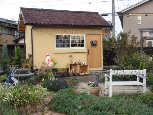 11月庭の様子(2)_a0243064_17353600.jpg