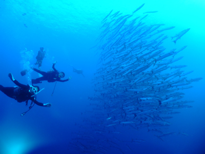 ビール片手にサンセット！クルーズ最高☆　     龍馬クルーズ/PALAU_e0184067_18202836.jpg