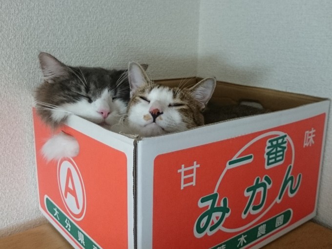 エントリーNo 101 ~_d0124072_14094237.jpg