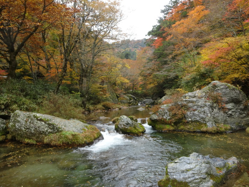 e0358973_22041149.jpg