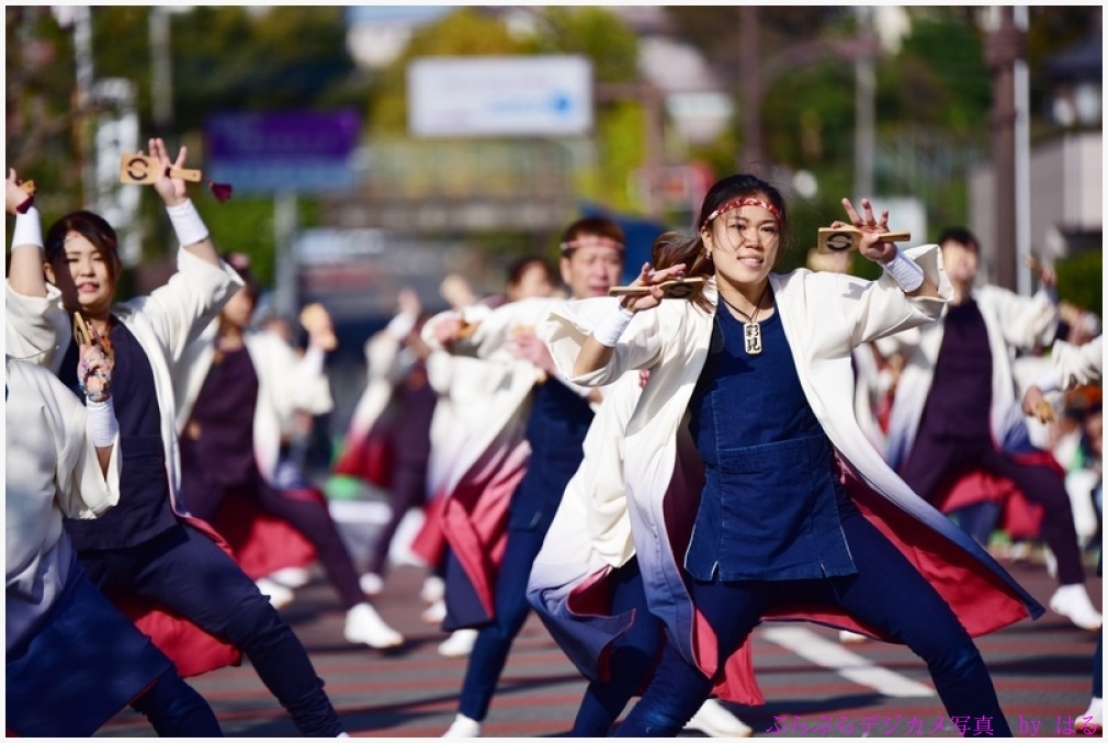 おやちゃい村収穫祭　2016　（３）　琥覇・音鳴会・いぶき_b0104774_21385249.jpg