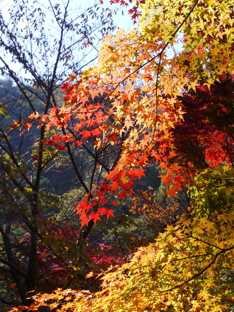 b0358575_01360667.jpg
