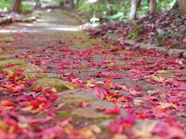 b0358575_01403313.jpg