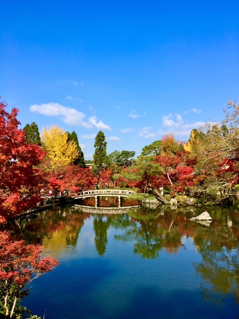 京都滞在記「モミジの永観堂」_a0138976_13402320.jpg