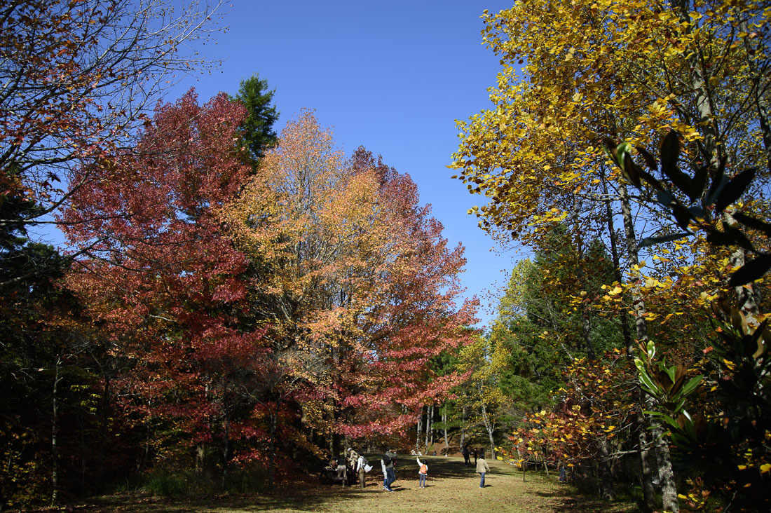 a0301676_17251276.jpg