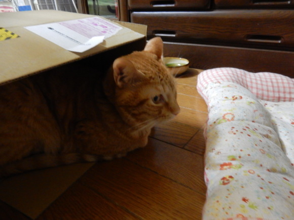 あのヒトに会いたい!_e0355177_14312851.jpg