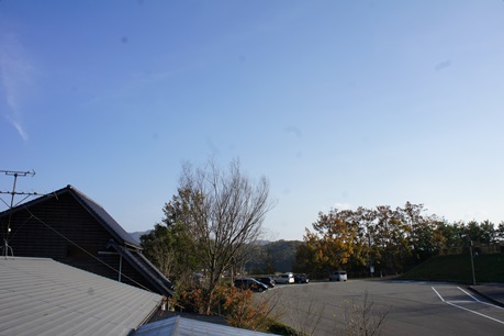 c0163878_1016522.jpg