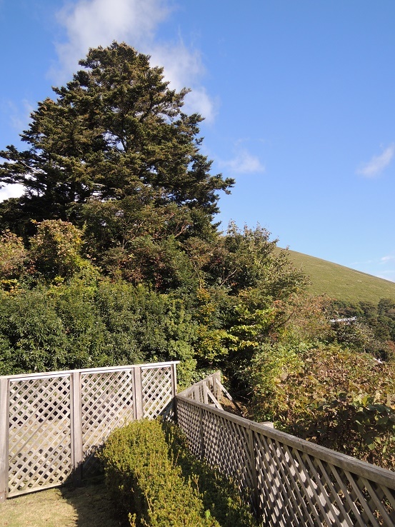 b0362781_09401576.jpg